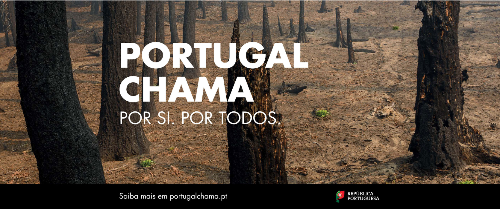 Portugal Chama Sonae Arauco