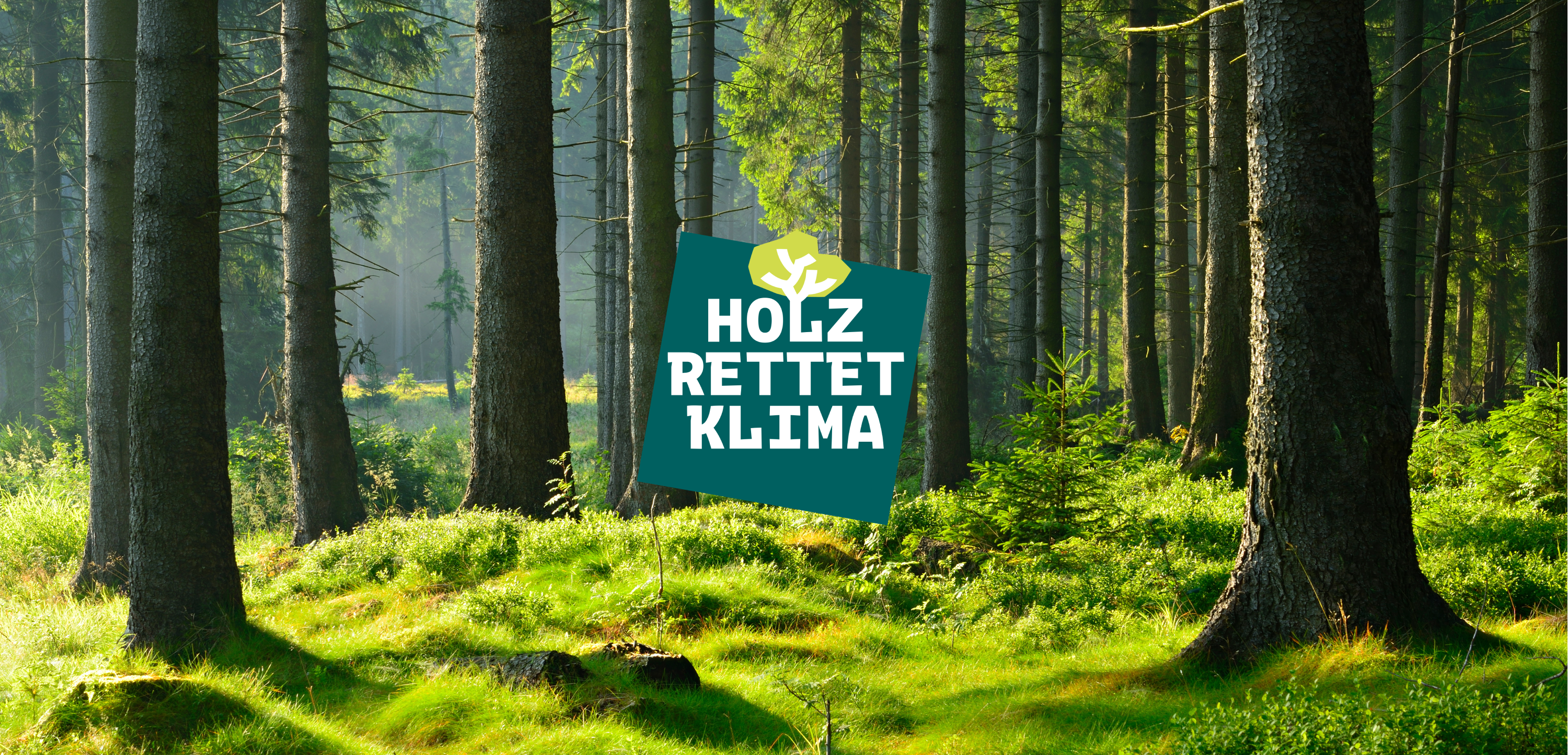 Holz Rettet Klima