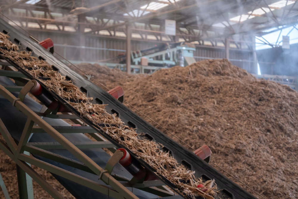 Industrial Conveyor Belt With Wood Chips In A Recycling Facility