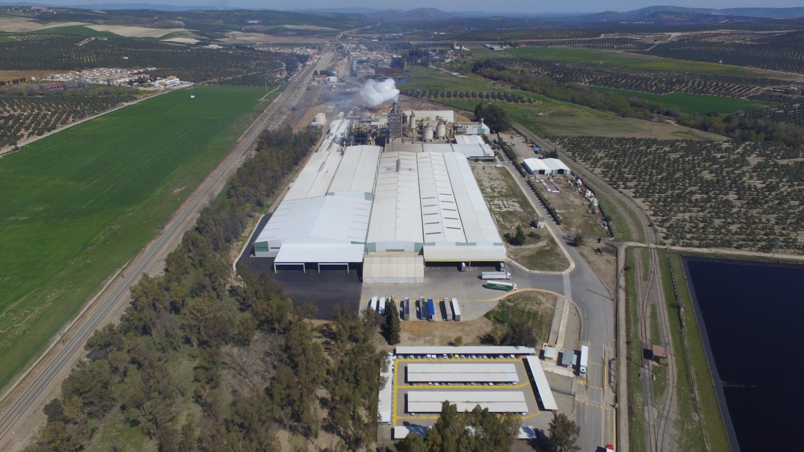 Sonae Arauco Linares